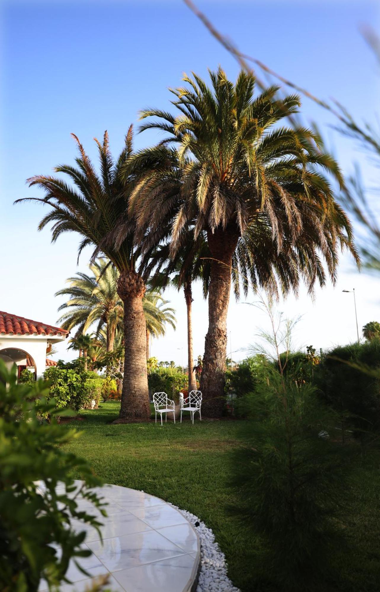 Sun Club Playa Del Ingles Hotel Exterior photo